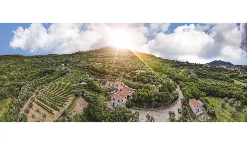 Tavern di Arquà