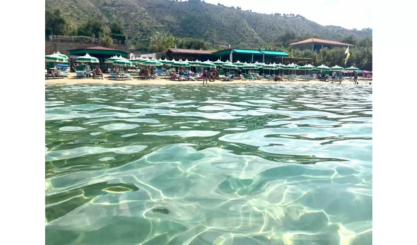 Lido il Giglio Marino 