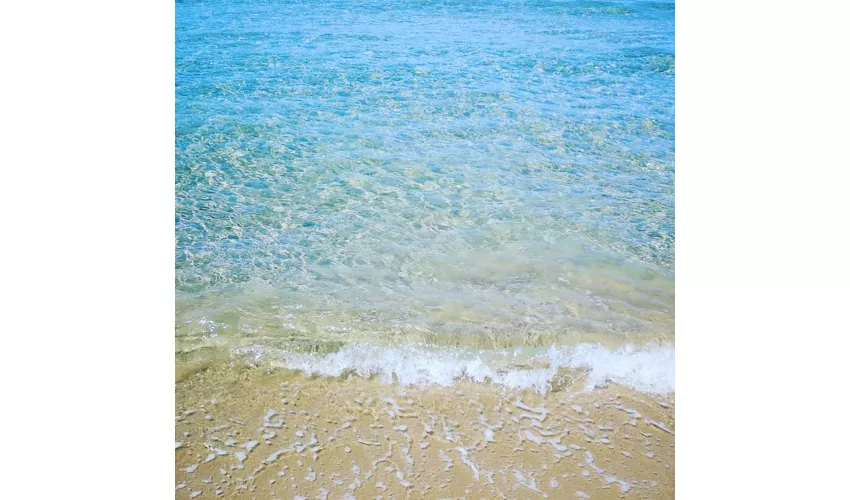 Lido il Giglio Marino 
