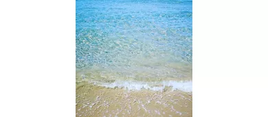 Lido il Giglio Marino 