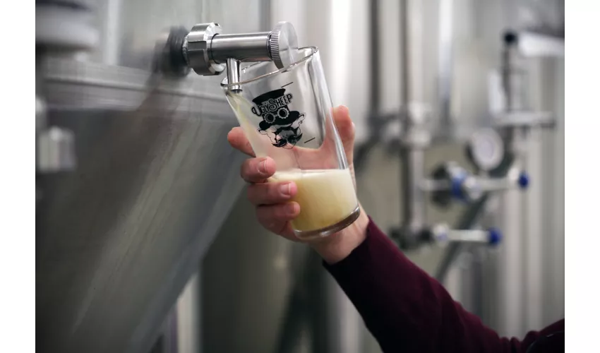 The Ugly Sheep Brewery