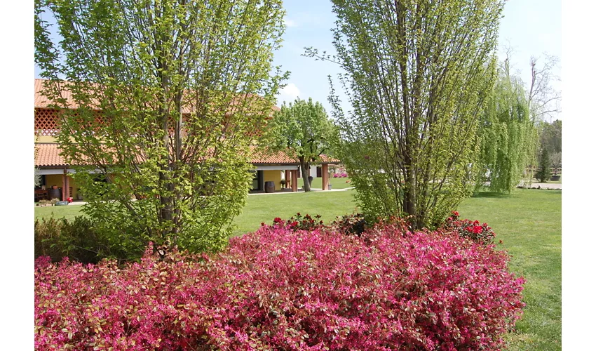 Il Vecchio Fienile Agriturismo