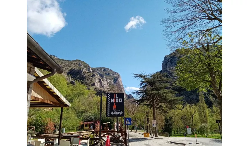 Bar Il Nido