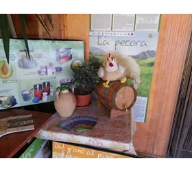 Agriturismo Fiore di Carpineta Domenico