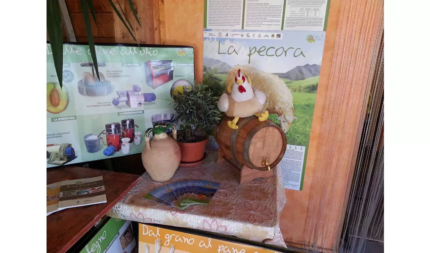 Agriturismo Fiore di Carpineta Domenico