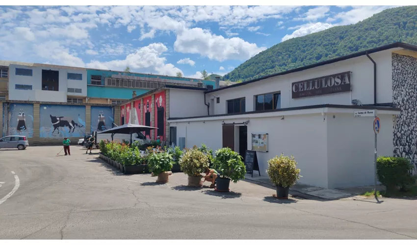 Cellulosa Mercato, Arte e Cucina