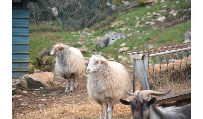 Agriturismo Al Giovenzano