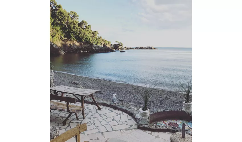Eco del Mare