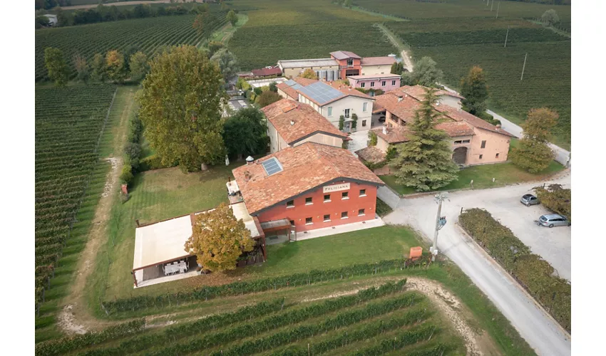 Wine Resort Feliciana