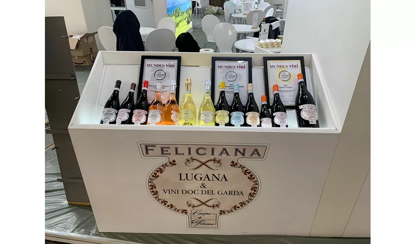 Wine Resort Feliciana