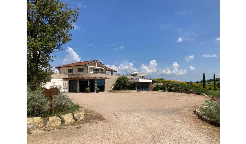 Azienda Agricola Purovino