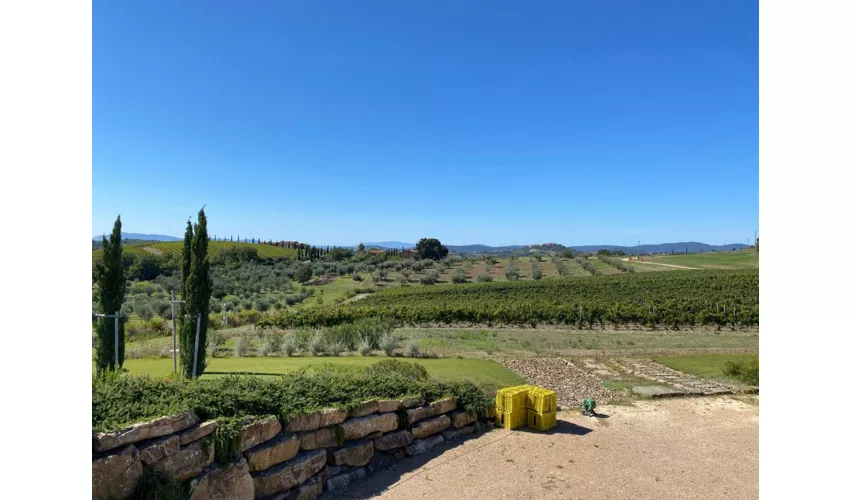Azienda Agricola Purovino