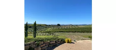 Azienda Agricola Purovino