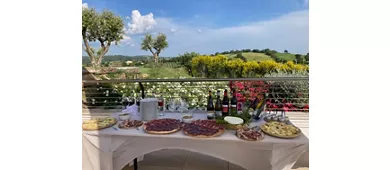 Azienda Agricola Purovino
