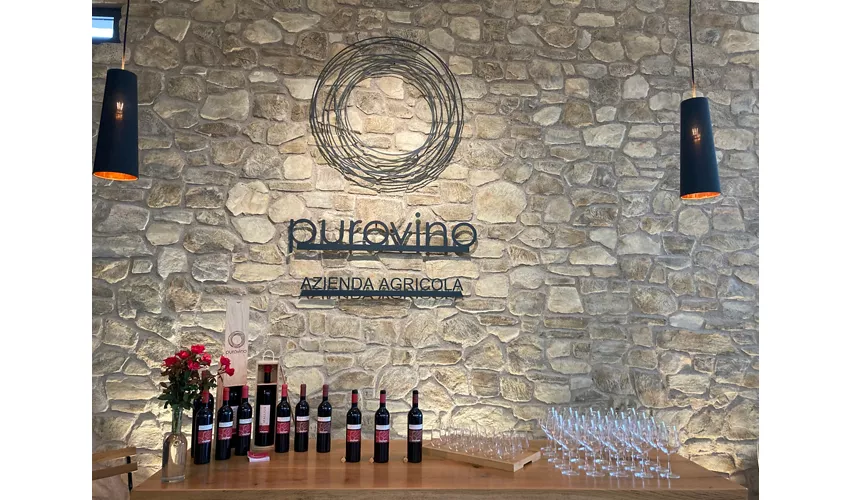 Azienda Agricola Purovino