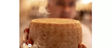 Terra di Juso