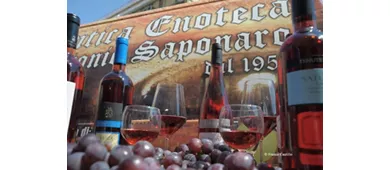 Antica Enoteca Saponaro Antonio