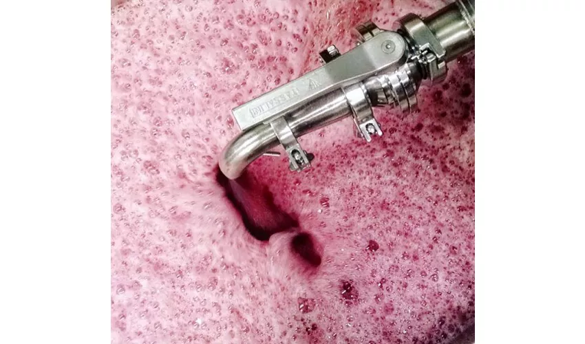 Antica Enoteca Saponaro Antonio