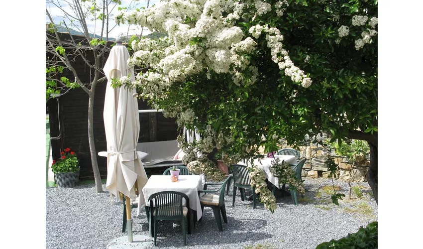 Agriturismo La Vigna