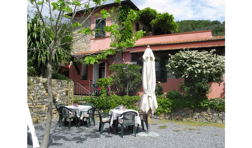 Agriturismo La Vigna