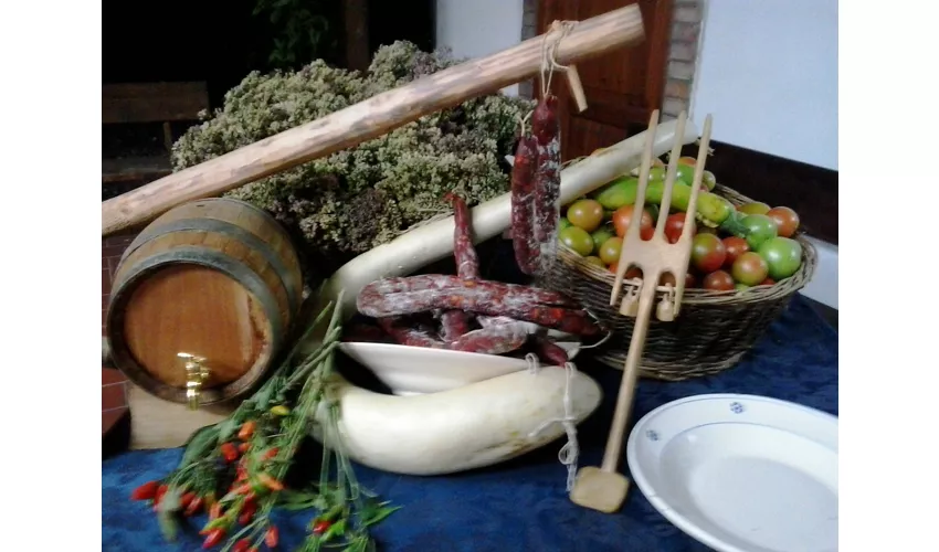 Agriturismo I Gelsi