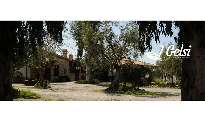 Agriturismo I Gelsi