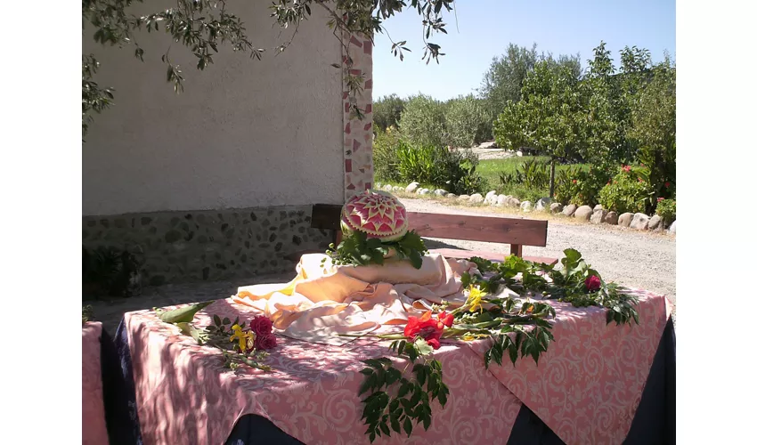 Agriturismo I Gelsi