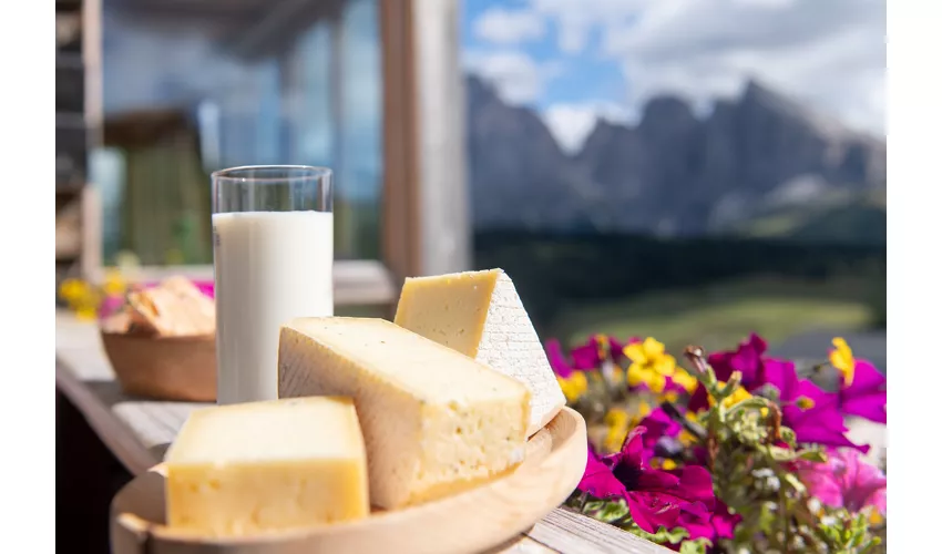 Malga Schgaguler Schwaige