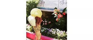 Gelateria Duchessa