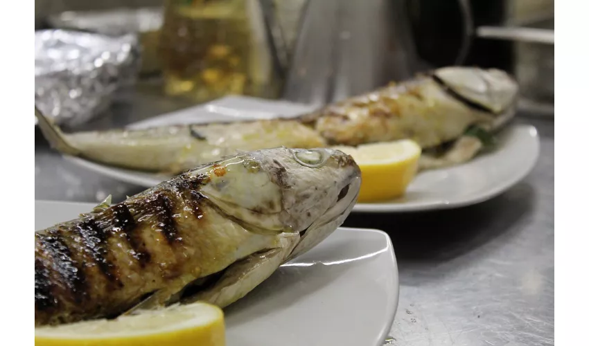 Ristorante al Village Camping Fico d'India