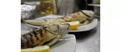 Ristorante al Village Camping Fico d'India