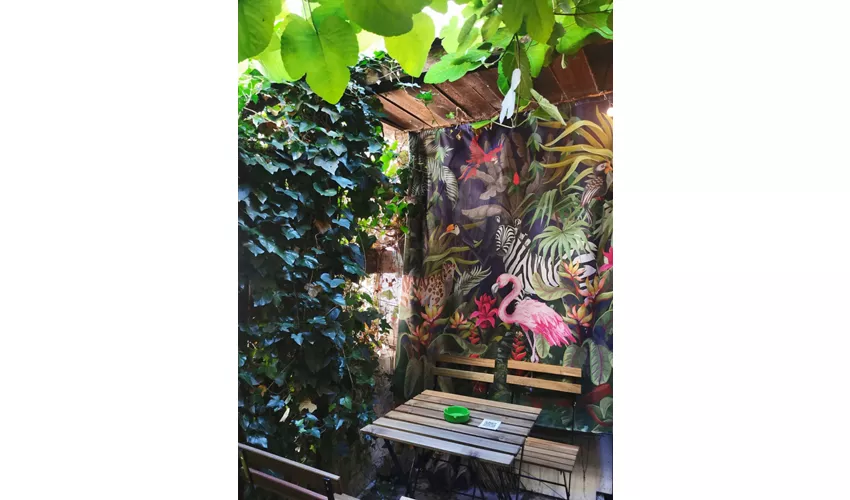 Art Café LimeOlé House