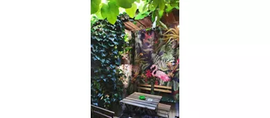 Art Café LimeOlé House