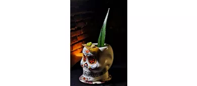 Art Café LimeOlé House