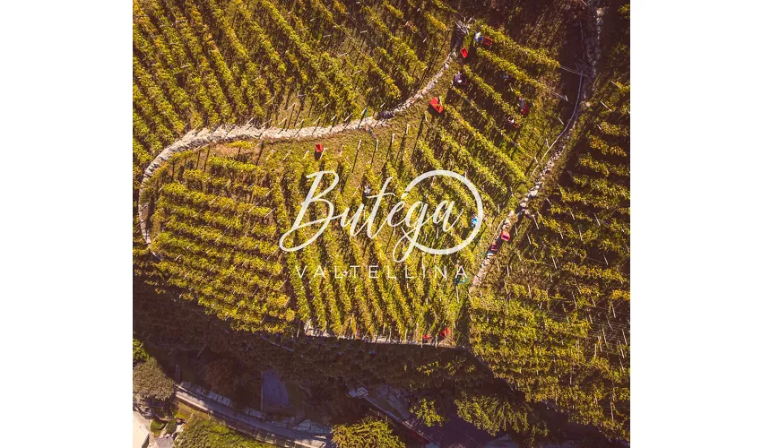 Butéga Valtellina