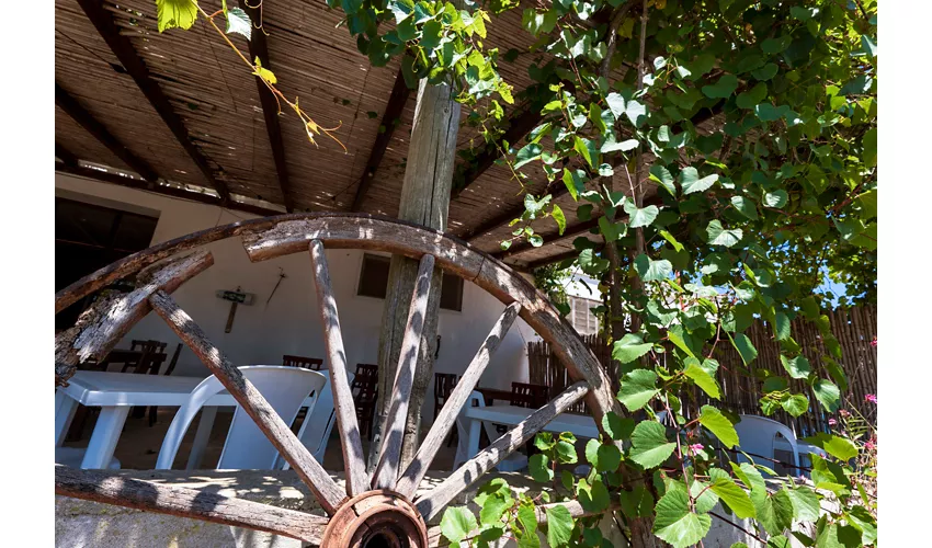 Agriturismo Masseria Le Creste