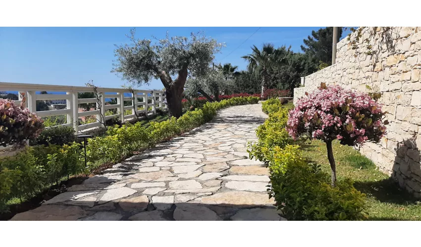 La Taverna Del Conte