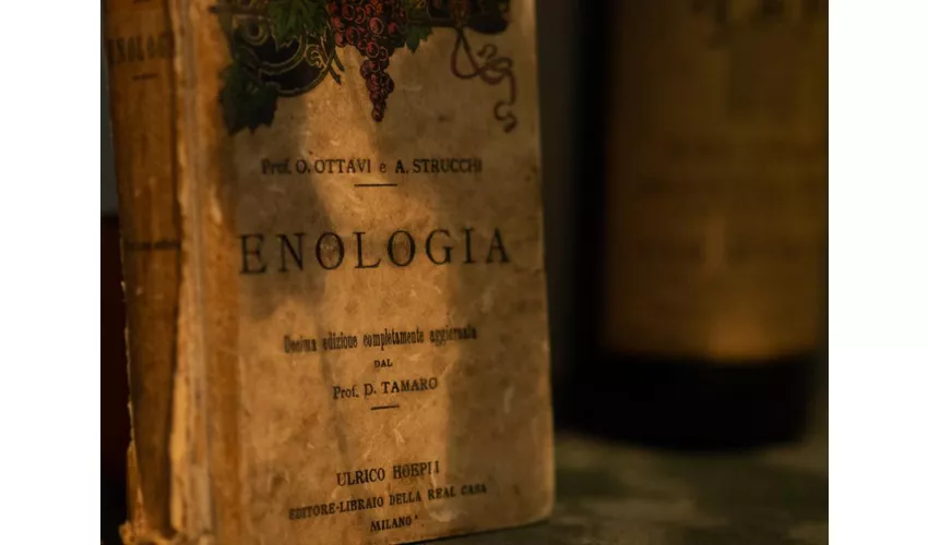 Énonè Enoteca & Cucina