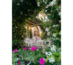 Gelateria Bar Dolceneve