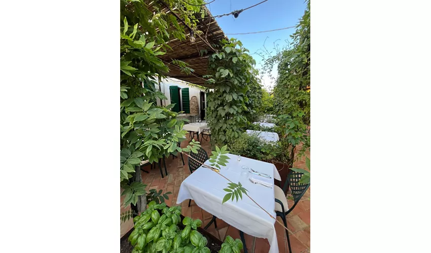 Trattoria Dai Tomasi