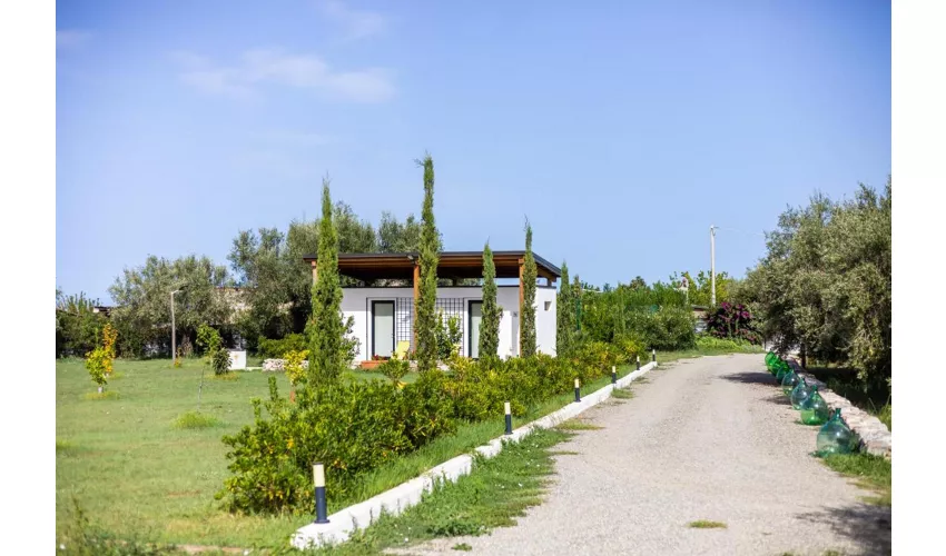 Agriturismo Gallo Fino