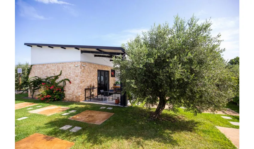 Agriturismo Gallo Fino