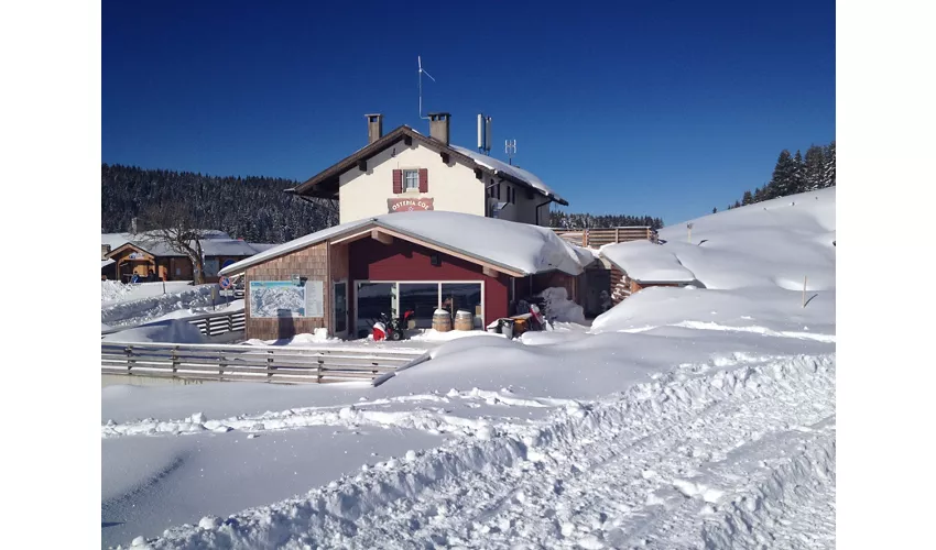 Ristorante Osteria Coe