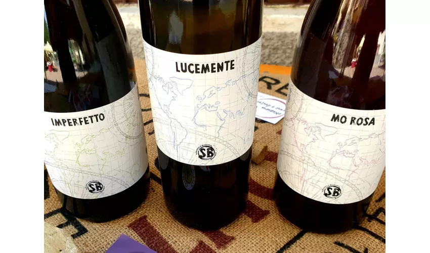 La Rocchetta di Mondondone - Azienda Vitivinicola con Agriturismo