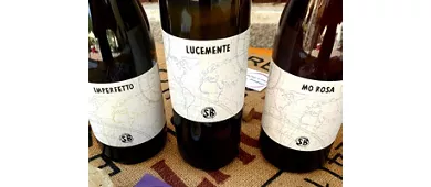La Rocchetta di Mondondone - Azienda Vitivinicola con Agriturismo