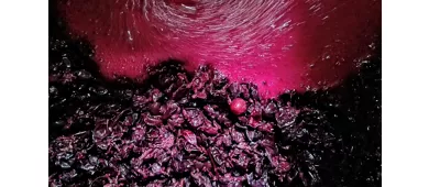 La Rocchetta di Mondondone - Azienda Vitivinicola con Agriturismo
