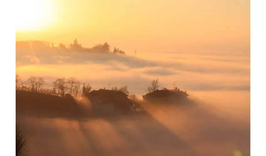 La Rocchetta di Mondondone - Azienda Vitivinicola con Agriturismo