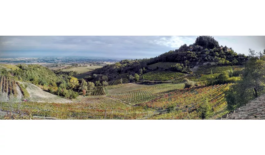 La Rocchetta di Mondondone - Azienda Vitivinicola con Agriturismo