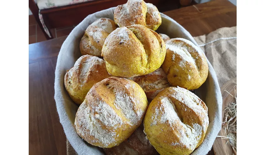 La Rocchetta di Mondondone - Azienda Vitivinicola con Agriturismo