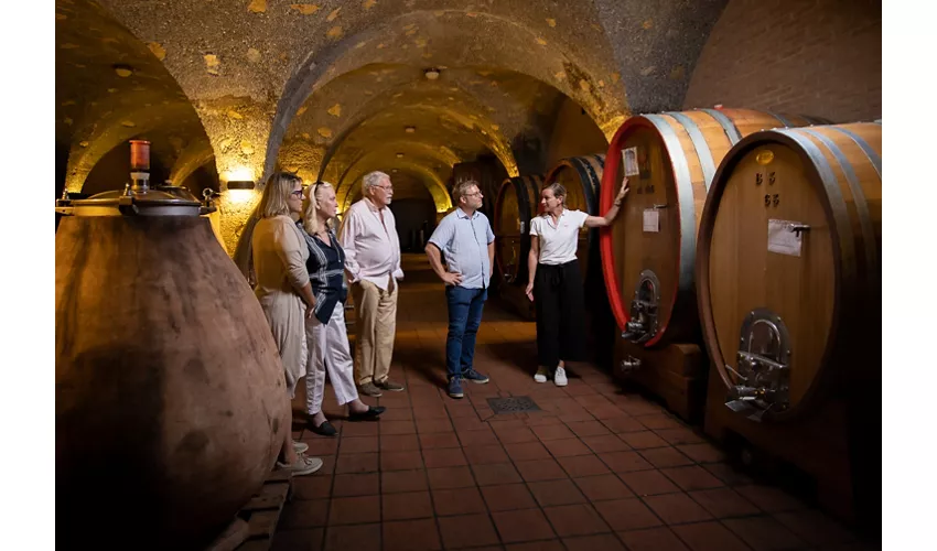 CORTE PAVONE - Brunello di Montalcino Winery